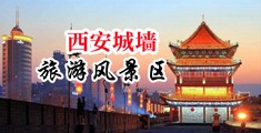 海外美女8x8x免费视频中国陕西-西安城墙旅游风景区