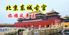 操骚逼骚逼肥臀中国北京-东城古宫旅游风景区